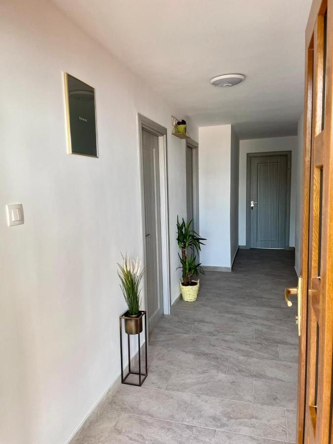 Vila Sibel Costinesti Exterior photo